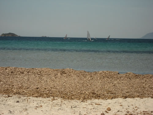 Plage Almanarre windsurfers